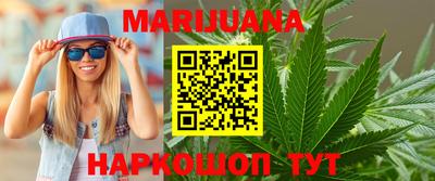 сатива Новозыбков