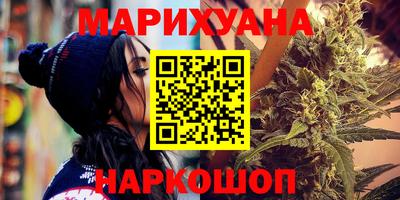 сатива Новозыбков
