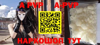 сатива Новозыбков