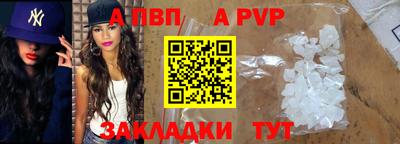 сатива Новозыбков