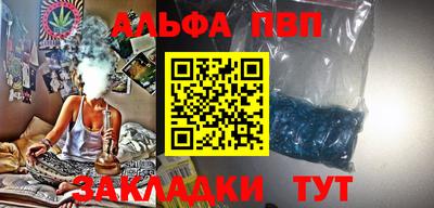сатива Новозыбков